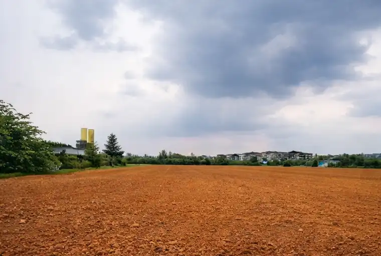 Landscaped Land Plot